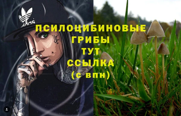 каннабис Армянск